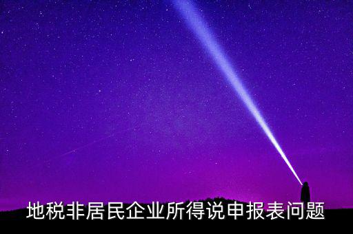 扣繳非居民所得稅報告表指什么，扣繳個人所得稅報告表30