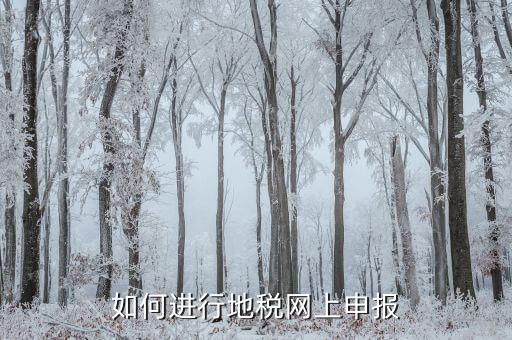 地稅如何進(jìn)行網(wǎng)上申報(bào)，如何進(jìn)行地稅網(wǎng)上申報(bào)