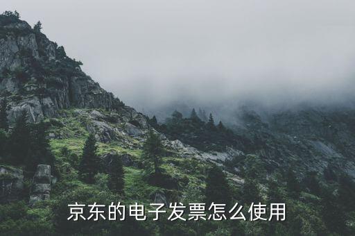 電子發(fā)票如何用，電子客票如何用