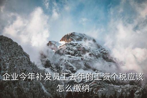 補(bǔ)發(fā)一年工資如何算稅，補(bǔ)發(fā)員工以前年度工資如何繳納個(gè)稅