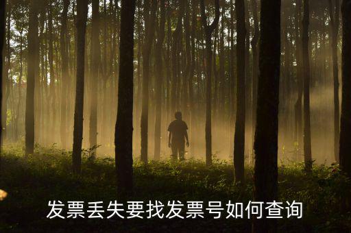 如何查詢發(fā)票號碼，請問有什么辦法查到發(fā)票代碼和號碼