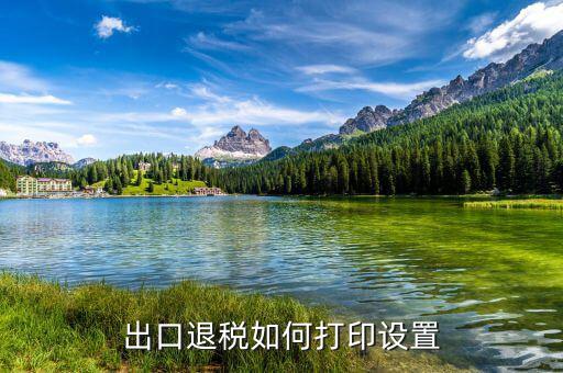 如何打印出口退稅備案表，出口退稅系統(tǒng)內(nèi)的增值稅申報表如何打印