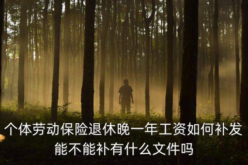 如何補(bǔ)發(fā)工資，個(gè)體勞動(dòng)保險(xiǎn)退休晚一年工資如何補(bǔ)發(fā)能不能補(bǔ)有什么文件嗎