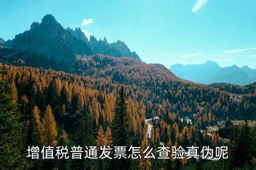 增值稅如何查詢(xún)發(fā)票真?zhèn)尾樵?xún)，怎么查詢(xún)發(fā)票真?zhèn)?/></a></span><span id=