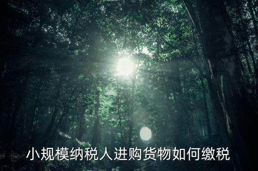 小規(guī)模納稅人如何交稅，小規(guī)模納稅人進購貨物如何繳稅
