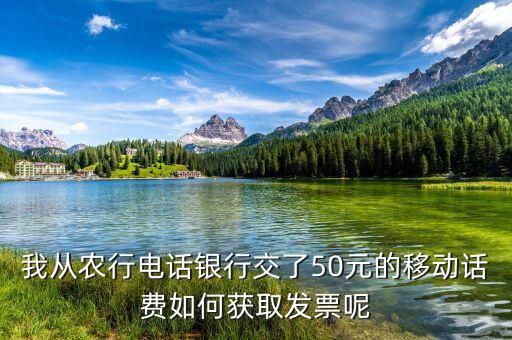 湖北移動(dòng)電子發(fā)票如何獲取，中國(guó)移動(dòng)手機(jī)帳單電子發(fā)票怎么樣下載