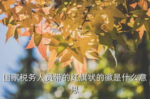 如何佩戴稅務(wù)肩章，地稅局人員的肩章