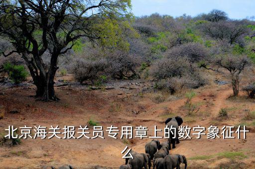 報關(guān)專用章數(shù)字是什么意思，報關(guān)專用章上面有一串數(shù)字是什么意思