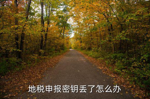 武漢地稅密鑰如何補辦，地稅報稅key掉了補辦需要什么手續(xù)要多少錢