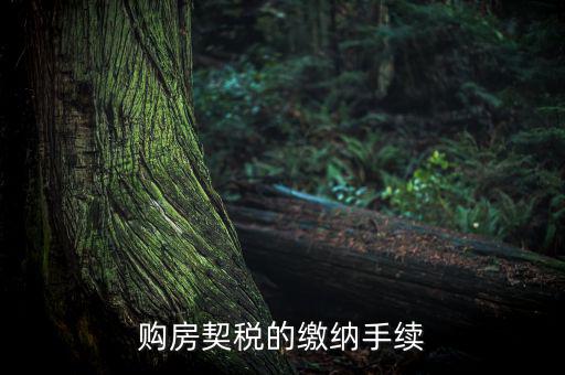 如何繳納契稅，購房契稅的繳納手續(xù)