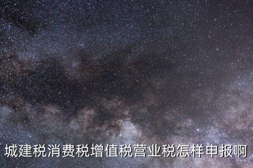 消費(fèi)稅如何納稅申報(bào)，小汽車消費(fèi)稅納稅如何申報(bào)
