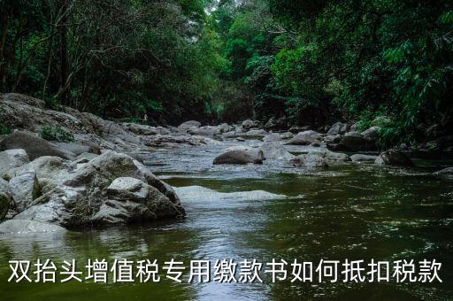 代理進(jìn)口雙抬頭增值稅如何抵扣，海關(guān)稅單雙抬頭 增值稅抵扣問(wèn)題