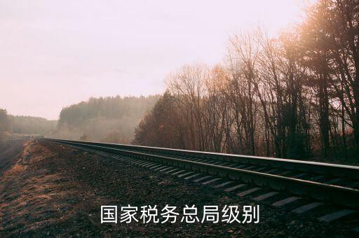 國家稅務(wù)總局是什么級別，國家稅務(wù)總局是什么級別