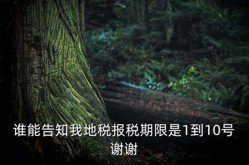 地稅的報稅期是什么時候，地稅中的年度財務報表申報期限是什么時候