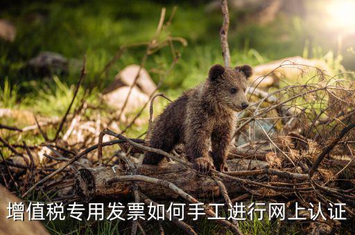 如何手工認證發(fā)票，網(wǎng)上發(fā)票認證怎么手工輸入