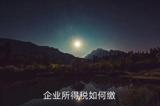 企業(yè)所得稅如何繳稅，企業(yè)所得稅如何繳納
