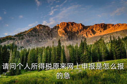 個人所得稅如何網(wǎng)上申報，個人所得稅網(wǎng)上申報流程