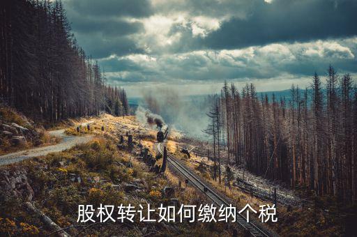 股權(quán)轉(zhuǎn)讓如何交稅，股權(quán)轉(zhuǎn)讓如何繳納個(gè)稅