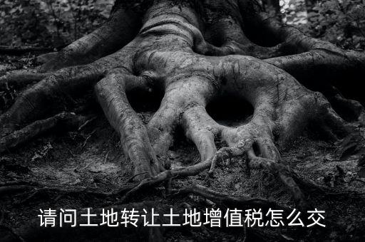 土地增值稅如何繳納，請(qǐng)問土地轉(zhuǎn)讓土地增值稅怎么交