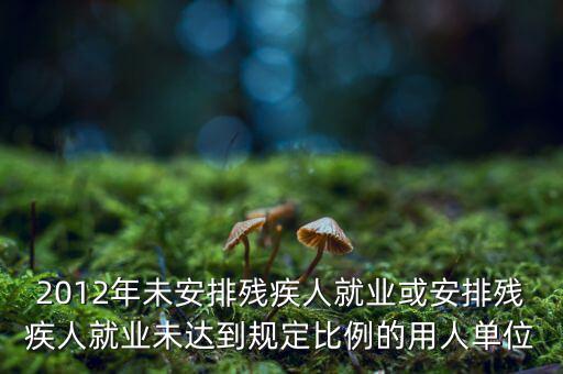 殘保金如何計(jì)算，2012年未安排殘疾人就業(yè)或安排殘疾人就業(yè)未達(dá)到規(guī)定比例的用人單位