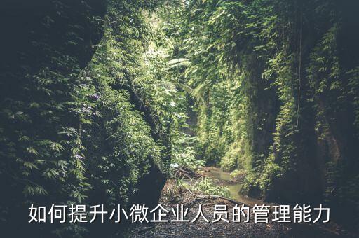 如何加強(qiáng)小型微利企業(yè)管理，如何提升小微企業(yè)人員的管理能力