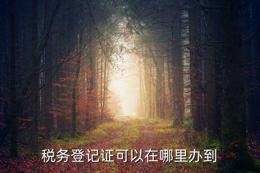 如何辦理稅種登記，辦好營(yíng)業(yè)執(zhí)照后怎么辦理稅務(wù)登記證