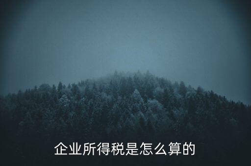 公司所得稅如何計算，企業(yè)所得稅該怎么計算