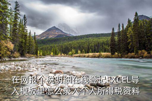 北京個稅明細(xì)申報(bào)如何導(dǎo)入，在網(wǎng)報(bào)個稅明細(xì)在線登記EXCEL導(dǎo)入模板里怎么錄入個人所得稅資料