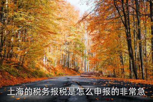 上海市國地稅如何申報，上海地稅是網(wǎng)上報稅嗎采取什么方式申報