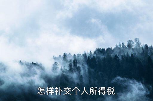 如何補(bǔ)交個(gè)人所得稅，如何用個(gè)人所得稅扣繳系統(tǒng)補(bǔ)繳稅款