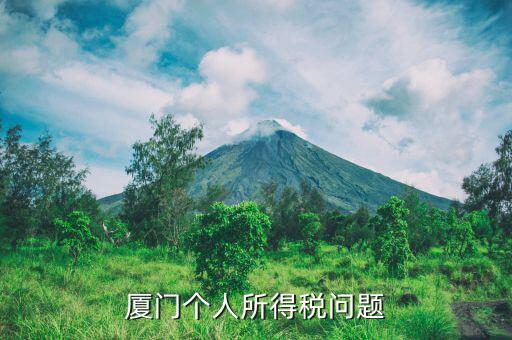 廈門企業(yè)個稅如何申報(bào)，廈門個人所得稅問題