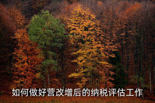 如何做好納稅評估，企業(yè)納稅評估的方式方法