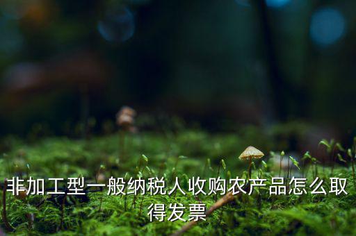 農(nóng)產(chǎn)品收購發(fā)票如何，農(nóng)產(chǎn)品收購發(fā)票如何開