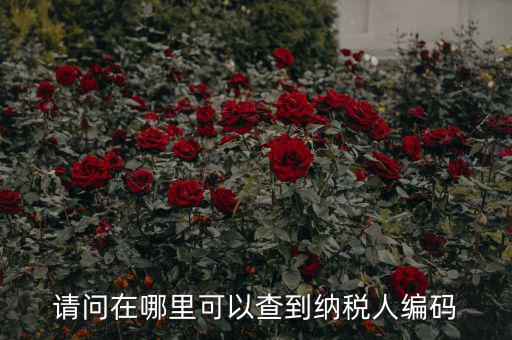 教您如何查詢納稅人代碼，忘記稅務(wù)征收機(jī)關(guān)代碼