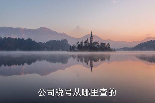 如何查到企業(yè)納稅號(hào)，公司稅號(hào)從哪里查的