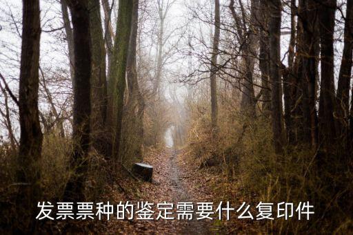 如何做票種認(rèn)定，如何申請發(fā)票票種