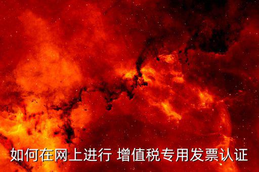 增值稅專(zhuān)用發(fā)票如何進(jìn)行網(wǎng)上認(rèn)證碼，增值稅發(fā)票網(wǎng)上怎么認(rèn)證