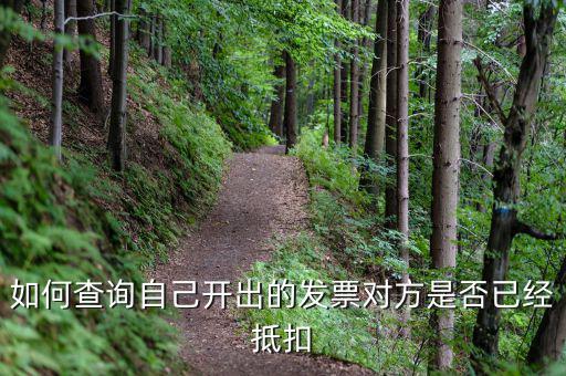如何查詢已抵扣發(fā)票，怎么查詢開出的發(fā)票有沒有被抵扣