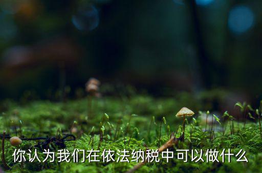 如何做到依法納稅，你認(rèn)為我們?cè)谝婪{稅中可以做什么