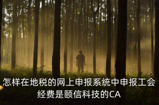 工會(huì)經(jīng)費(fèi)如何網(wǎng)上申報(bào)，怎樣在地稅的網(wǎng)上申報(bào)系統(tǒng)中申報(bào)工會(huì)經(jīng)費(fèi)是頤信科技的CA