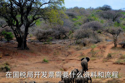 國稅局批票如何辦理，在國稅局開發(fā)票需要什么資料和流程