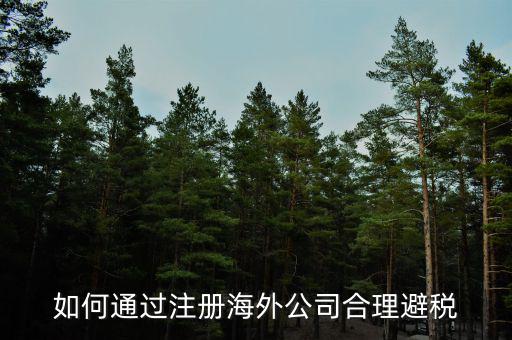 在境外注冊(cè)子公司如何避所得稅，離岸公司如何避個(gè)稅