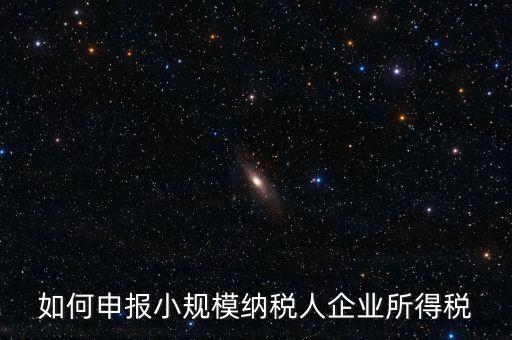 小規(guī)模納稅人如何報企業(yè)所得稅，如何申報小規(guī)模納稅人企業(yè)所得稅