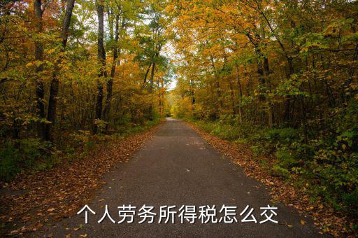 個(gè)人勞務(wù)費(fèi)如何繳稅，勞務(wù)報(bào)酬所得怎么繳納個(gè)人所得稅