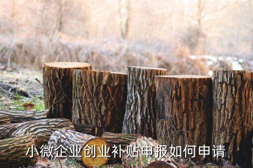 小型微利企業(yè)如何申請社保補(bǔ)貼，小微企業(yè)補(bǔ)貼怎么申請