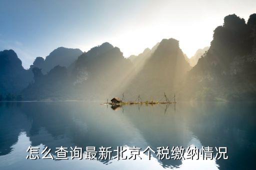 北京如何繳稅記錄查詢，怎么查詢最新北京個稅繳納情況