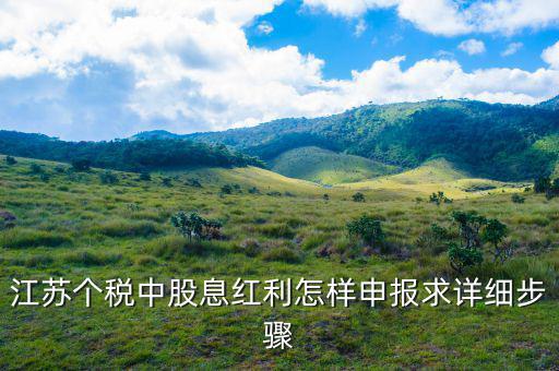 股息紅利如何申報，其他利息股息紅利所得怎么申報