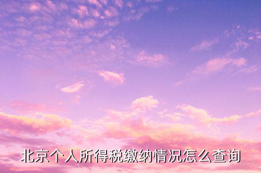 北京如何查詢個人納稅記錄，北京個稅繳納記錄查怎么查