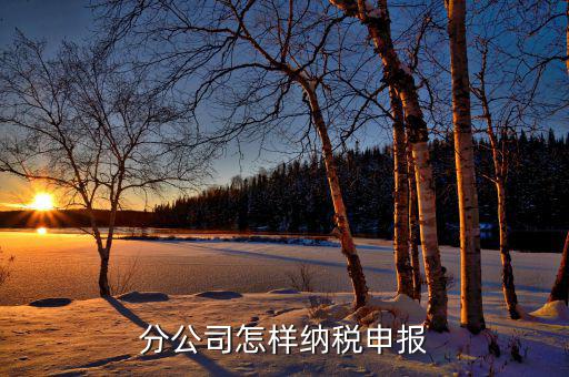 如何申報分公司所得稅，分公司的所得稅怎么報