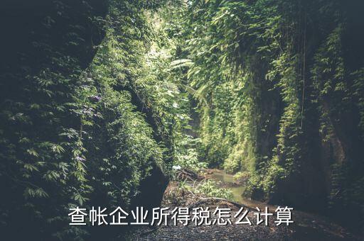 企業(yè)所得稅如何查賬，企業(yè)所得稅計算 查賬法